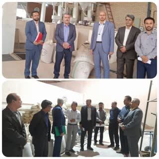 بازدید از واحدها تولیدی بهره مند از تسهیلات اشتغال پایدار روستایی در استان قزوین