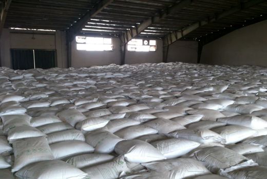 توزیع 11 هزار تن کود کشاورزی در ساری