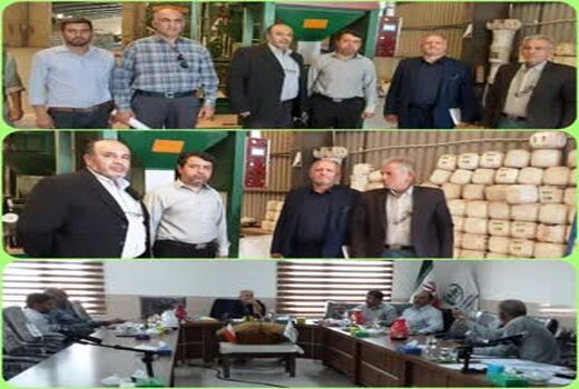 بازدید معاون تولیدات گیاهی سازمان جهاد کشاورزی استان قزوین از یک واحد تولیدی بذر
