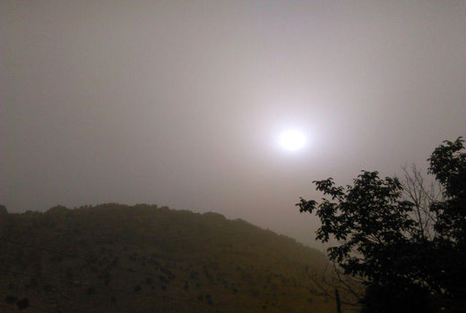 ریزگرد، کشاورزی را خفه کرد