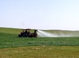 آغاز کنترل شیمیایی علف‏های هرز مزارع غلات استان مرکزی 