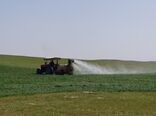 آغاز کنترل شیمیایی علف‏های هرز مزارع غلات استان مرکزی 
