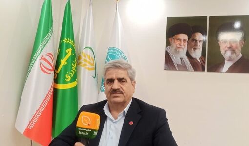 ظرفیت جایگزینی بیش از ۳.۵ میلیون تن ذرت با منابع خوراکی داخلی فراهم شد