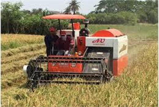 برداشت مکانیزه برنج در 165 هزار هکتار شالیزار مازندران