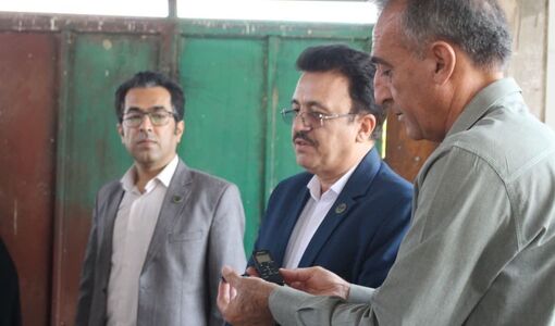 بر ضرورت حمایت پایدار از تنها ذخیره‌گاه ژنتیکی بادام‌های وحشی کشور تاکید شد