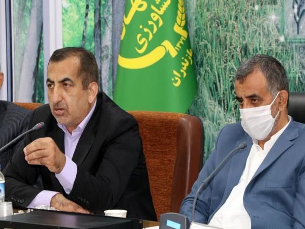 تحقق کشاورزی علمی با ورود 105 محقق به عرصه های تولید