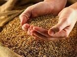 تدارک بیش از ۴۶۰۰ تن بذر برای کشت پاییزه در چهارمحال و بختیاری