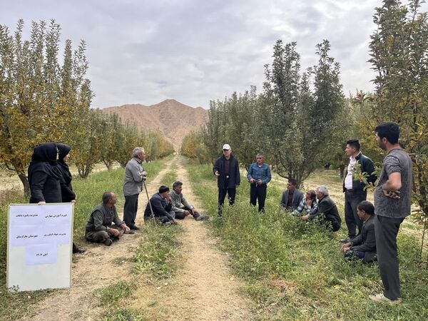 دوره آموزشی «مدیریت پاییزه باغات» در چاراویماق با استقبال چشمگیر باغداران روبرو شد