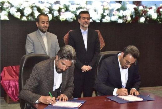 انعقاد ۵ تفاهم نامه در زمینه فرآوری زرشک