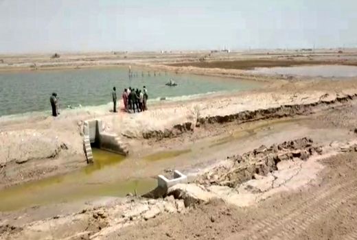 حمایت جهاد کشاورزی از بهره برداران آسیب دیده بخش کشاورزی مناطق زلزله زده