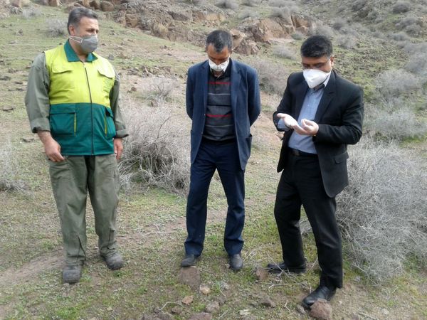 جلسه عملیات مبارزه با ملخ در بخش طارم سفلی برگزار شد