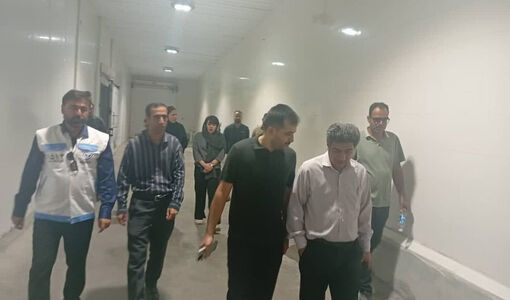 نوسازی ساختار مزارع؛ گام شیلات برای افزایش بهره‌وری در سایت های پرورش میگو
