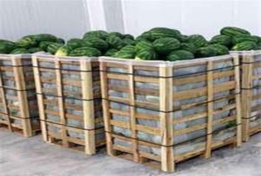 صادرات بیش از ۱۱ هزار تن محصولات کشاورزی از مرز شلمچه و خرمشهر