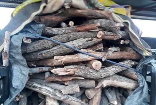 برخورد جدی با کوره داران متصرف در جهرم