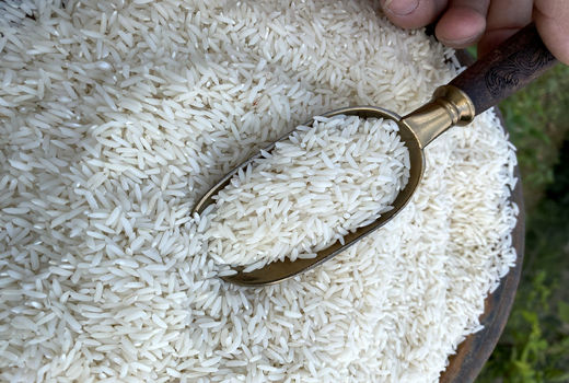 ثبت سفارش جدید برنج آغاز شد/ مشوق برای واردکنندگان خوش‌قول