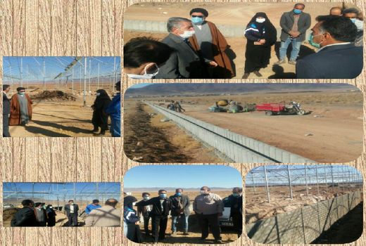 بازدید ریاست سازمان از مجتمع‌های گلخانه‌ای شهرستان سربیشه