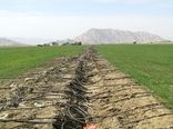 توسعه سیستم های نوین آبیاری در شهرستان ارزوئیه در راستای مقابله با خشکسالی 
