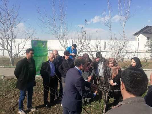 برگزاری دوره‌ آموزشی روش‌های پیشگیری از سرمازدگی باغات