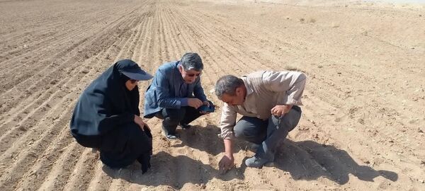 چهارمحال و بختیاری رتبه چهارم کشوری جهش تولید در دیمزار‌ها