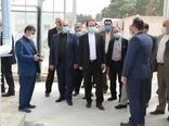 احداث بزرگترین گلخانه شیشه‌ای استان تهران درشهرستان پیشوا
