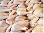 3700 تن گوشت سفید در سوادکوه‌شمالی تولید شد