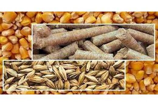 توزیع یک هزار تن نهاده بین دامداران میاندورودی
