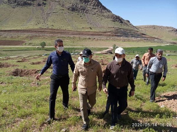 بازدید رئیس سازمان جهاد کشاورزی استان لرستان از طرح‌های توسعه باغات در اراضی شیبدار و کم بازده شهرستان خرم آباد