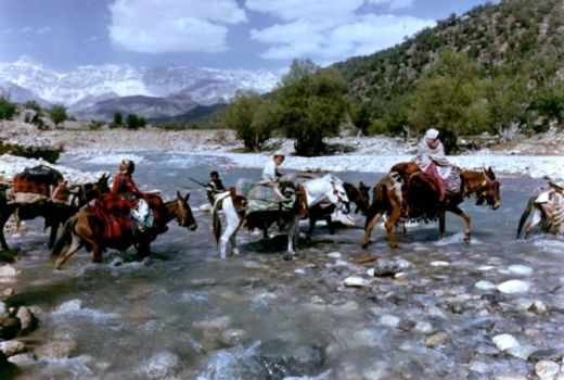 رشد اشتغال عشایری با مهار آب مرزی  