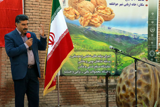 سرشاخه کاری فیزیکی درختان گردو یکی از راههای موثر در صرفه جویی آب است