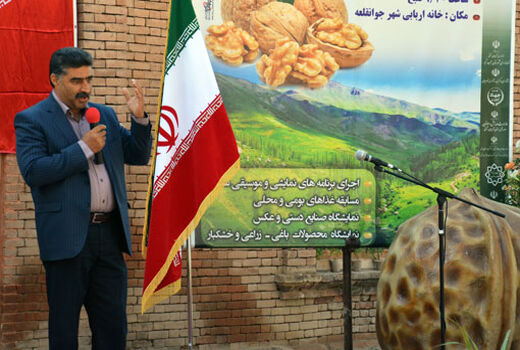 سرشاخه کاری فیزیکی درختان گردو یکی از راههای موثر در صرفه جویی آب است