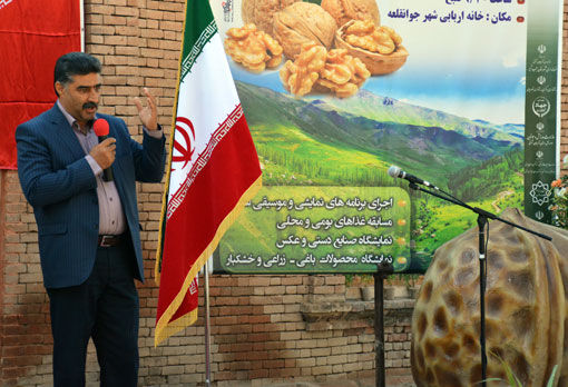 سرشاخه کاری فیزیکی درختان گردو یکی از راههای موثر در صرفه جویی آب است
