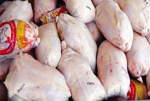 ۶۱ درصد گوشت مرغ استان البرز توسط ساوجبلاغ تأمین می‌شود