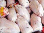 ۶۱ درصد گوشت مرغ استان البرز توسط ساوجبلاغ تأمین می‌شود