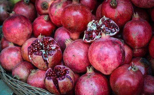 پنجمین جشنواره انار فاروق به کار خود پایان داد