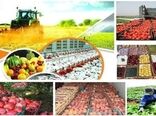 حکم دیوان عدالت اداری، تقاضای مجوز ایجاد واحدهای کشاورزی را ۹۰ درصد کاهش داد