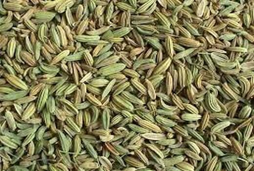 اختصاص 225 هکتار از راضی شهرستان شهربابک به کشت گیاهان داروئی 