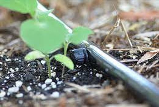 ارتقاء بهره وری آب با استفاده از روش‌های نوین آبیاری در آبادان