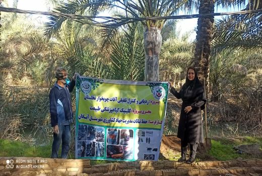 اجرای پروژه ردیابی و کنترل تلفیقی سوسک ‌های چوبخوار نخیلات آبادان