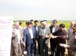 پایان عملیات اجرای پروژه تجهیز و نوسازی اراضی شهرستان گرگان