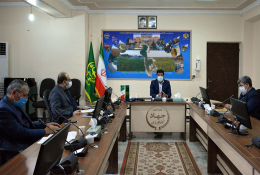 کشاورزان برای بیمه کردن محصولات زراعی خود تا ۱۵ آذرماه فرصت دارند 