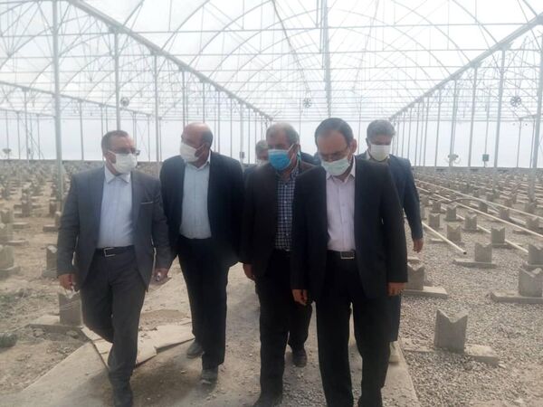 تحقق شعار سال با توسعه سرمایه گذاری در بخش کشاورزی امکانپذیر است