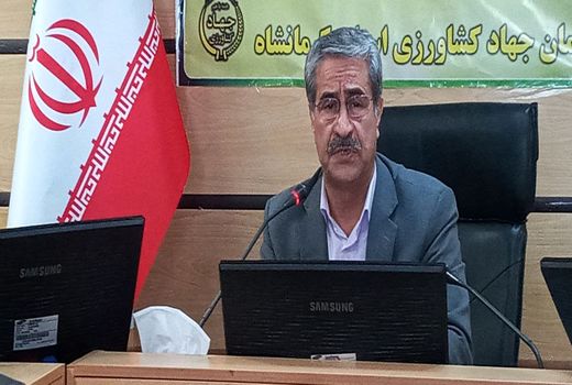 با توجه به کثرت بهره برداران در کرمانشاه نیازمند توسعه رسانه های آموزشی هستیم