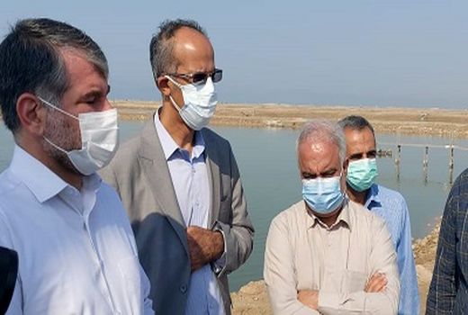 لزوم ایجاد باراندازهای کشاورزی و تضمین خرید محصولات کشاورزی