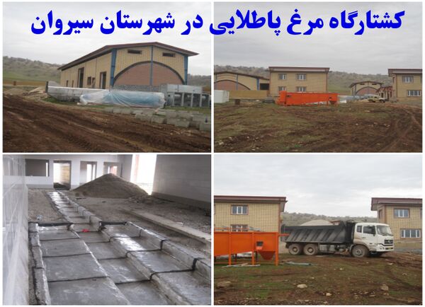 پیشرفت فیزیکی 80 درصد کشتارگاه مرغ سیروان