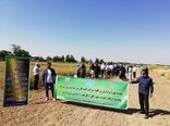 مدیر جهاد کشاورزی شهرستان کرج 
