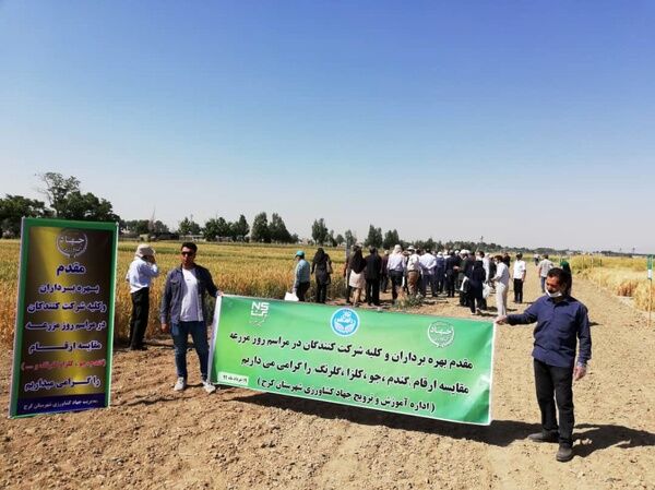 مدیر جهاد کشاورزی شهرستان کرج 