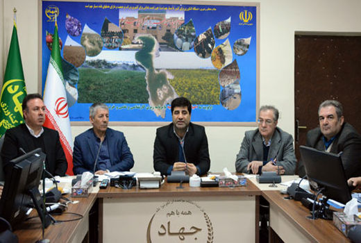 ارتقای ارزش افزوده بخش کشاورزی با افزایش عملکرد در واحد سطح