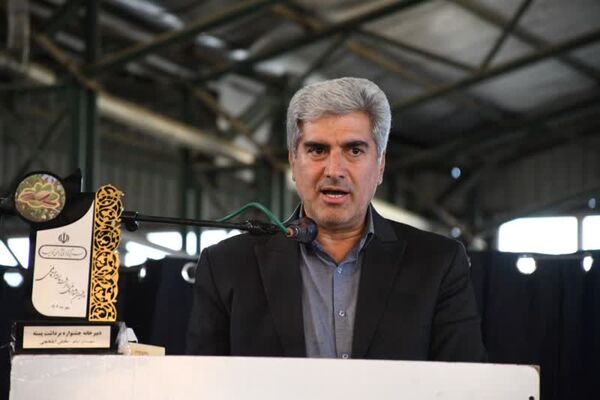پسته ایلخچی نماد هوشمندی کشاورزان در برابر خشکسالی است