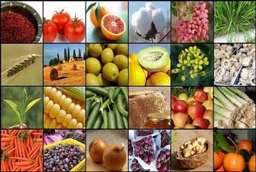 تعیین قیمت خرید تضمینی محصولات زراعی و باغی در سال 99