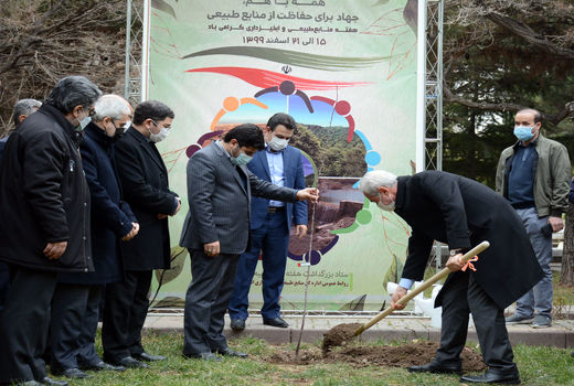 توسعه فضای سبز، شرط اصلی توسعه پایدار و زندگی مناسب است